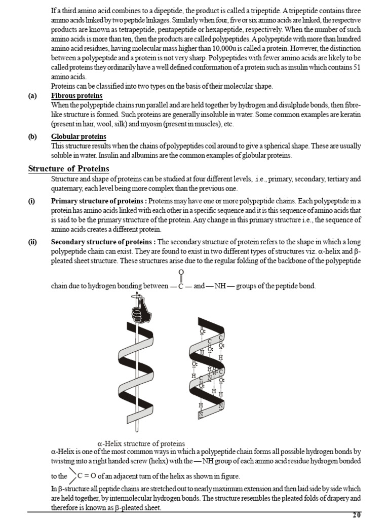 Biomolec JEE (1)_20 | PDF | Proteins | Protein Structure