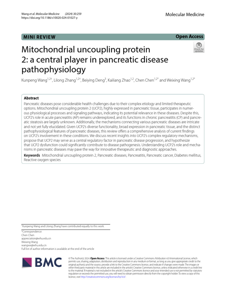 Mitochondrial Uncoupling Protein 2 A Central Player in Pancreatic ...