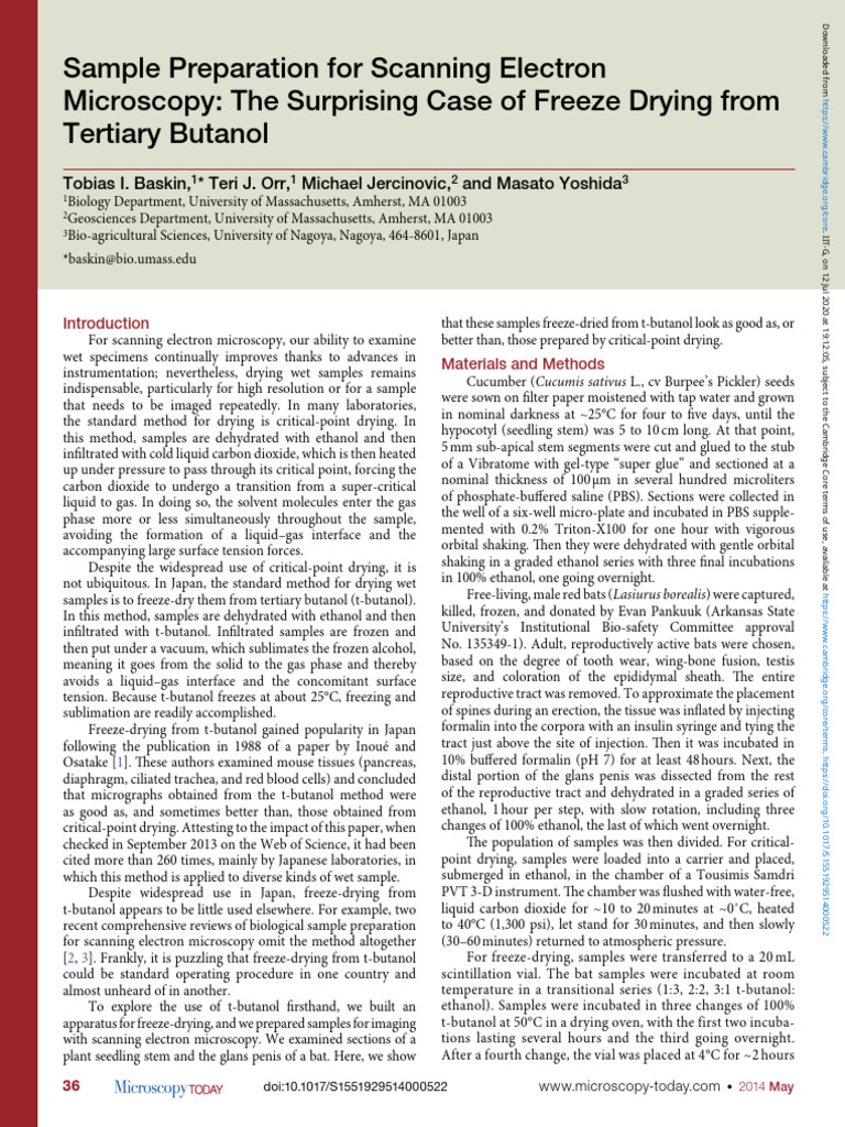 Sample Preparation For Scanning Electron Microscopy: The Surprising ...