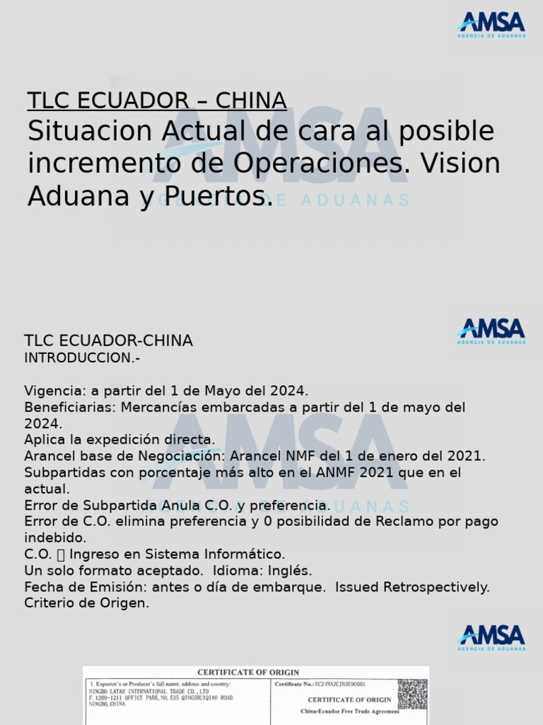 Presentacion Amsa | PDF | aduana | Economias