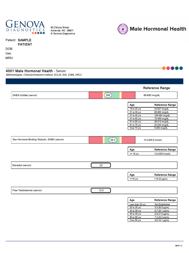 Male Hormonal Health Lab Results | PDF | Testosterone | Estrogen