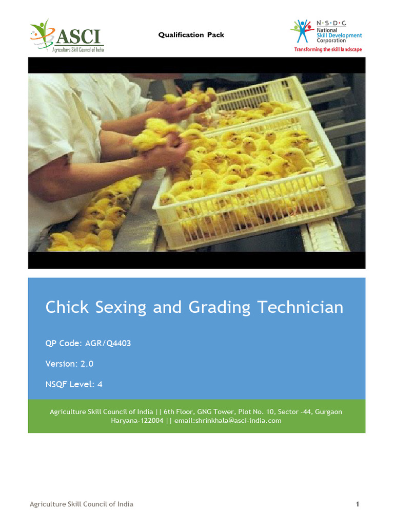 Chick Sexing and Grading Technician-AGR - Q4403 - v2.0 | PDF ...