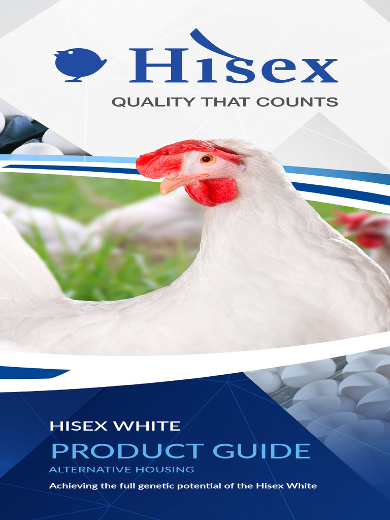 Порно әйел жыныс мүшесінің вагинасы