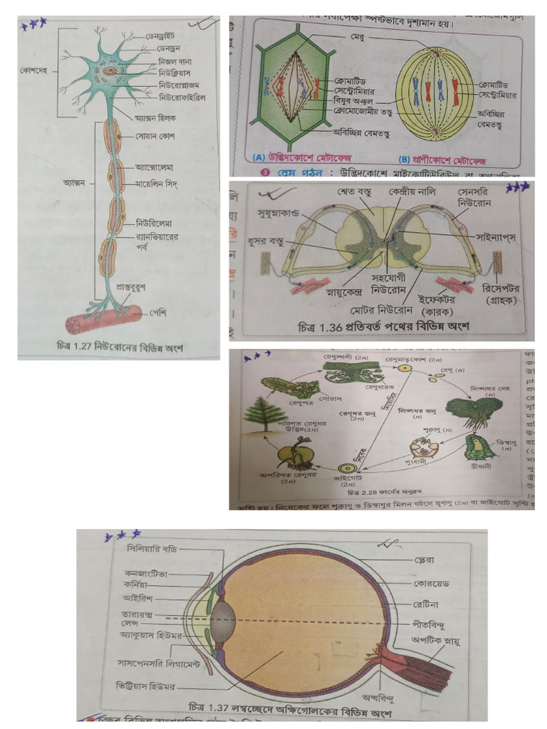 Project | PDF