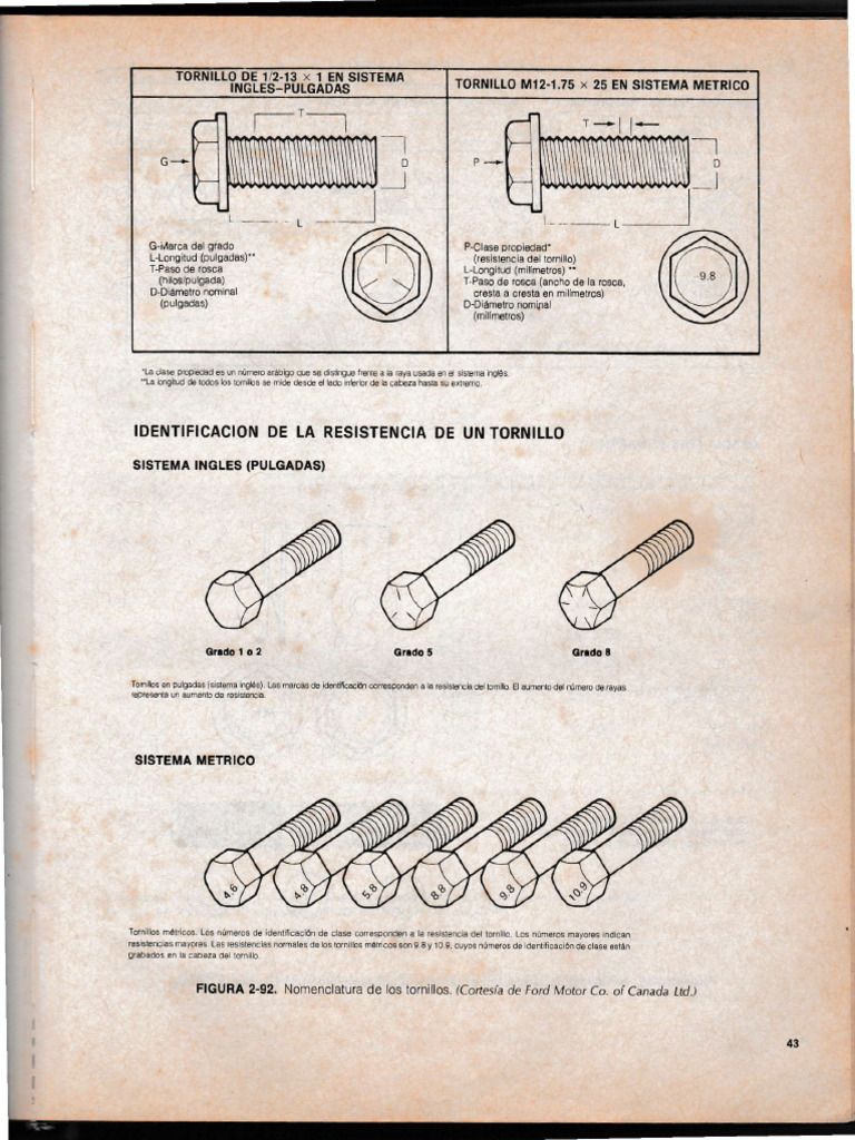 Identificación de Tornillos y Tuercas | PDF | Tornillo | Mecanizado