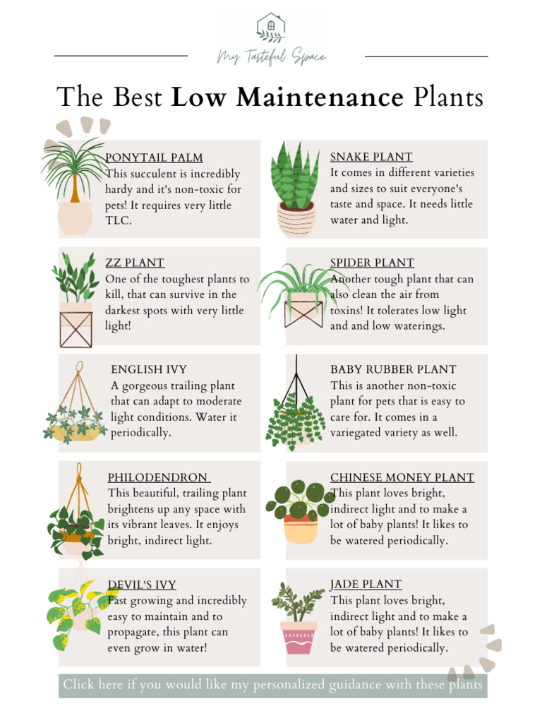 Low Maintenance Plants | PDF