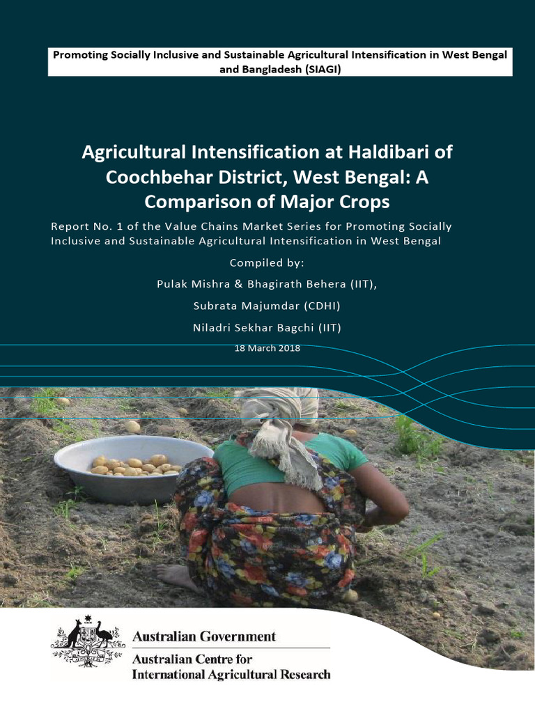 Haldibari Agricultural Crop Analysis | PDF | Agriculture | Chili Pepper