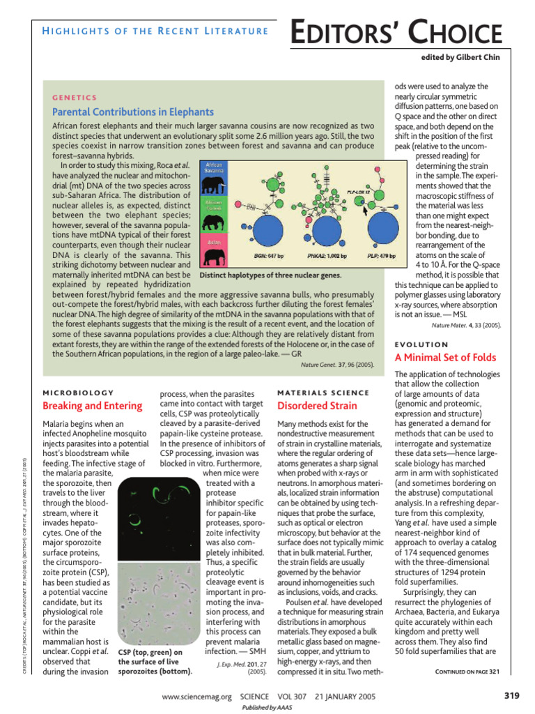 Explosive Entropy | PDF | Actin | Cell Biology