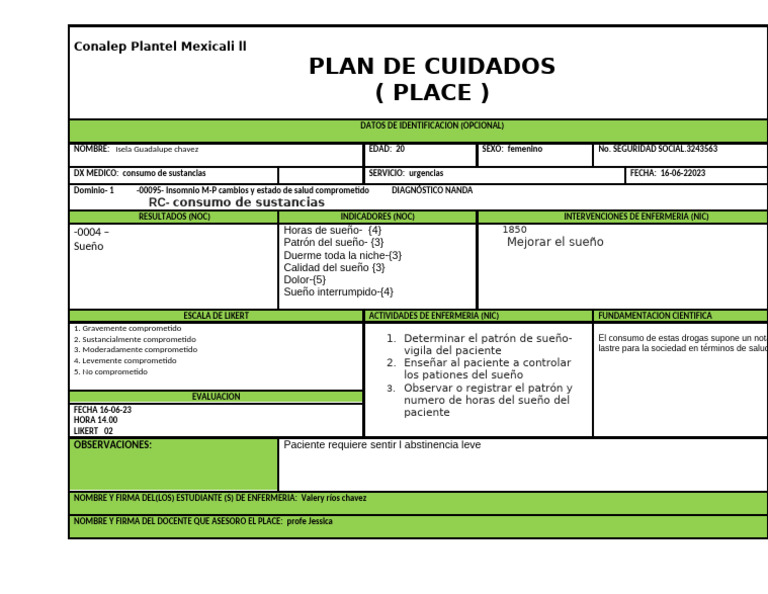 Plan de Cuidados para Insomnio | PDF | Especialidades Medicas ...