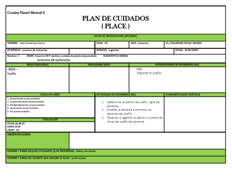 Plan de Cuidados | PDF | Especialidades Medicas | Ciencias de la Salud