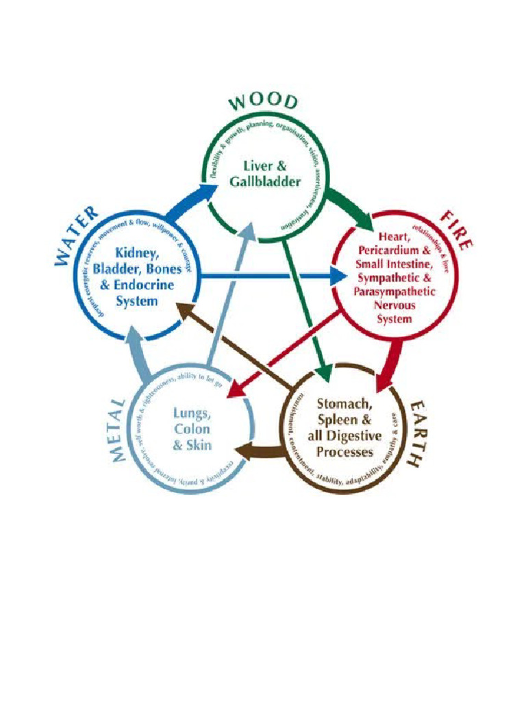 5 element chart doc PDF