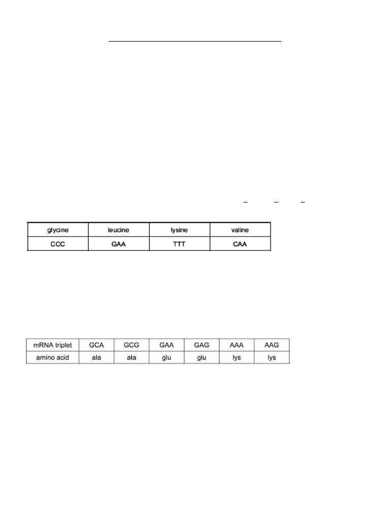 Transcription And Translation Exercises To Practise Pdf Translation