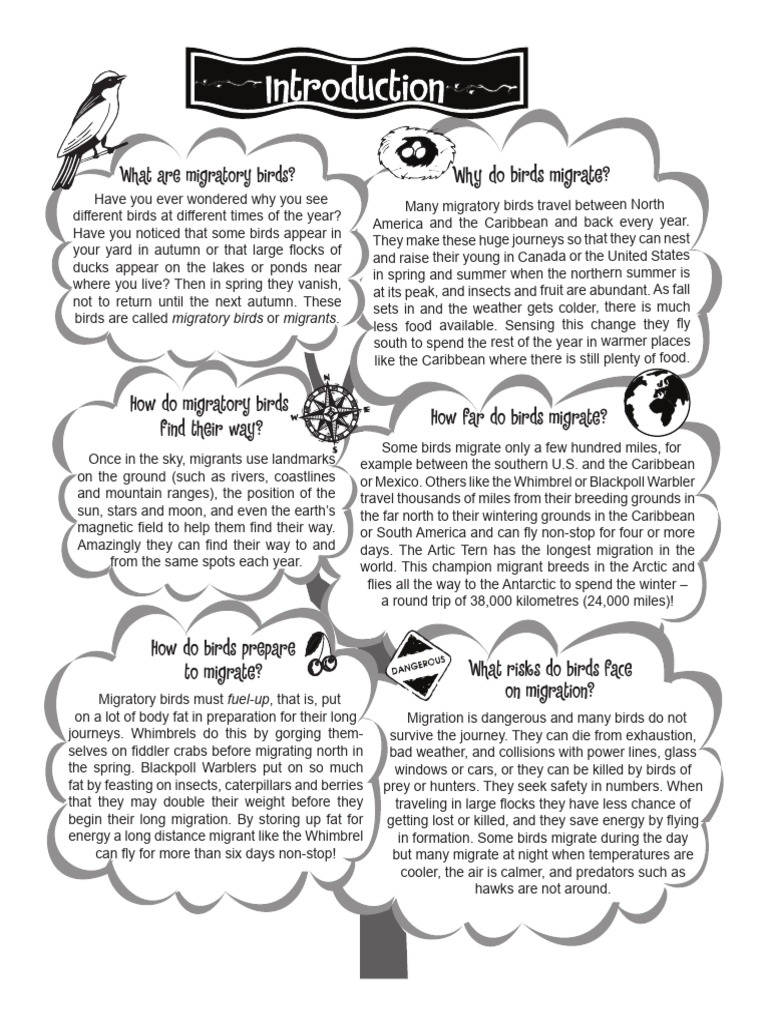 Introduction Both-Small | PDF | Bird Migration | Holarctic Birds