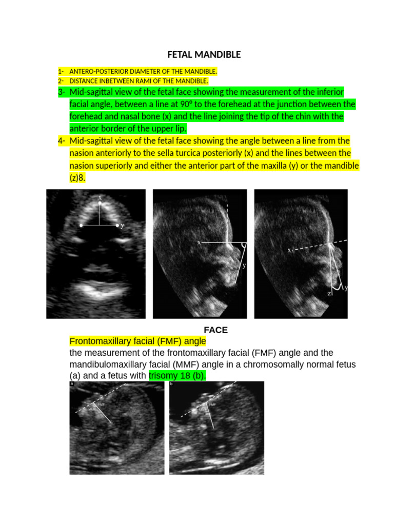 FETAL face | PDF | Fetus | Face