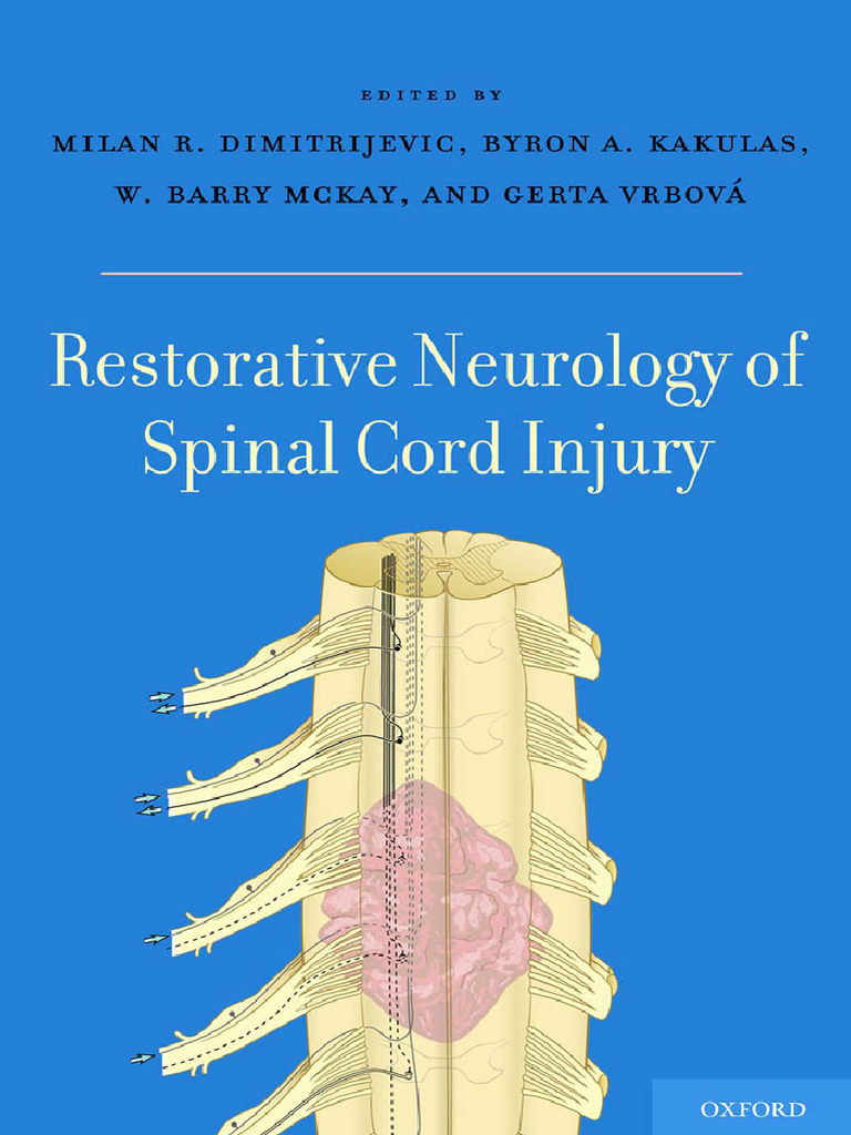Restorative Approach C6 Spinal Cord Quizlet