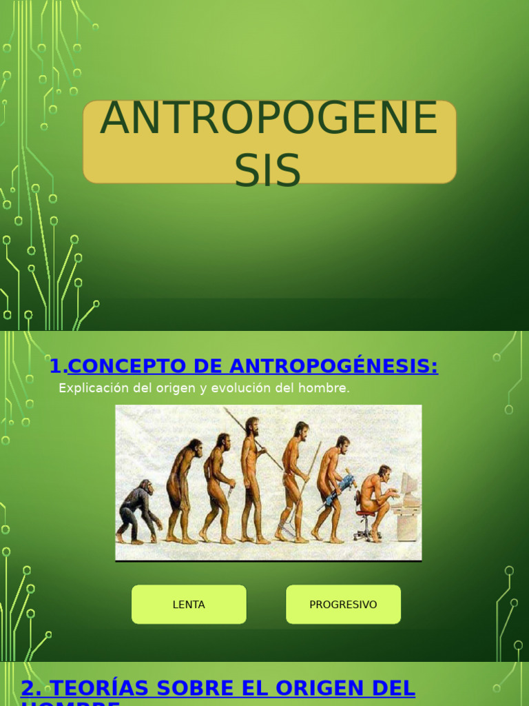 Antropogénesis | PDF | Homo | Evolución