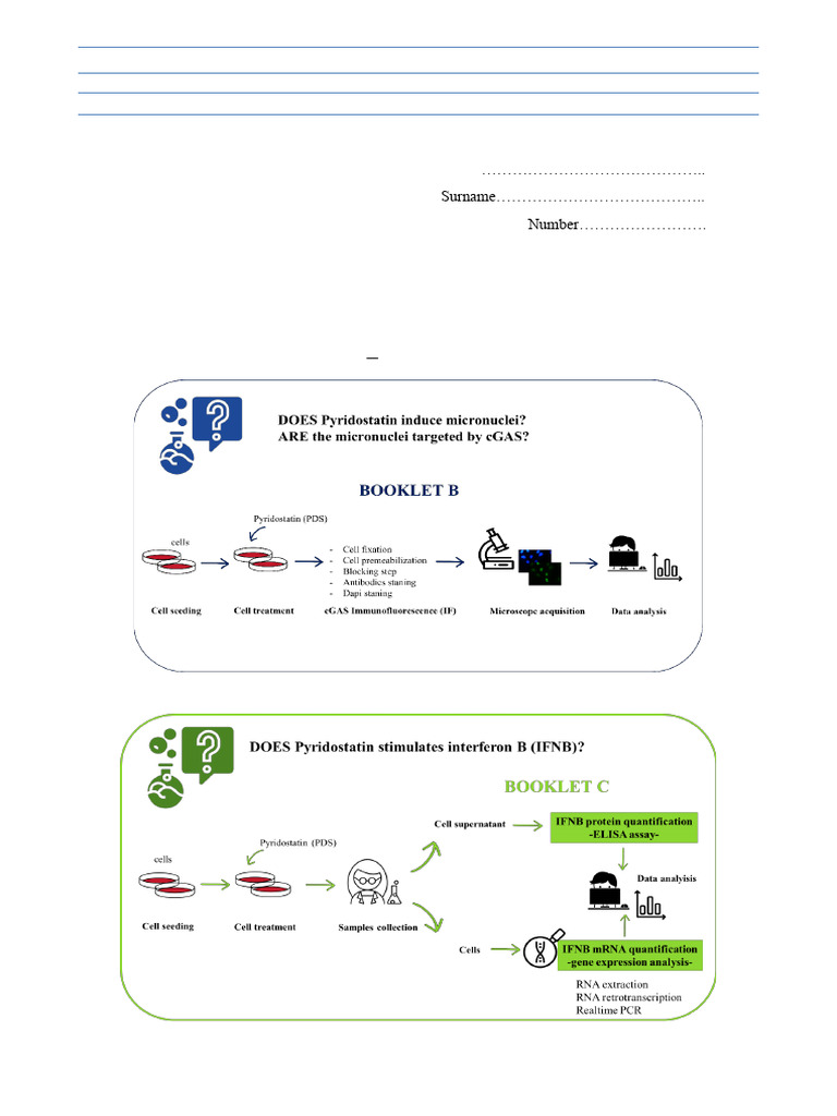 Cell Seeding and Treatment Protocols | PDF | Biotechnology | Biology