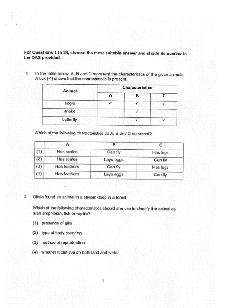 Página de Inicio de Geniebook | PDF