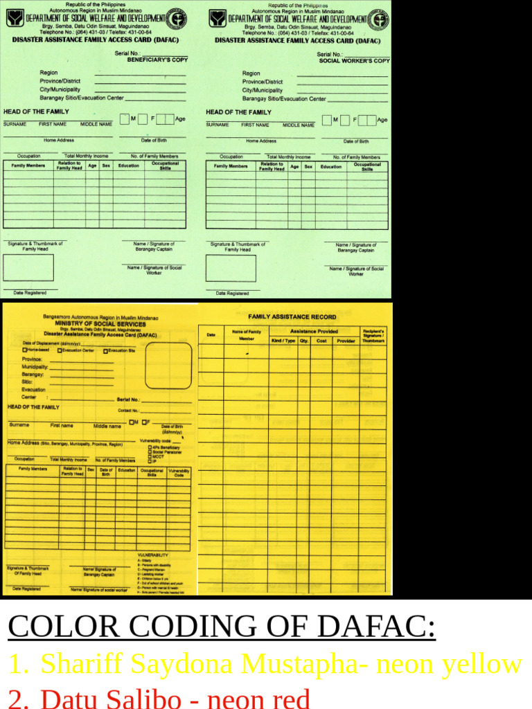 495599461 DAFAC Presentation | PDF