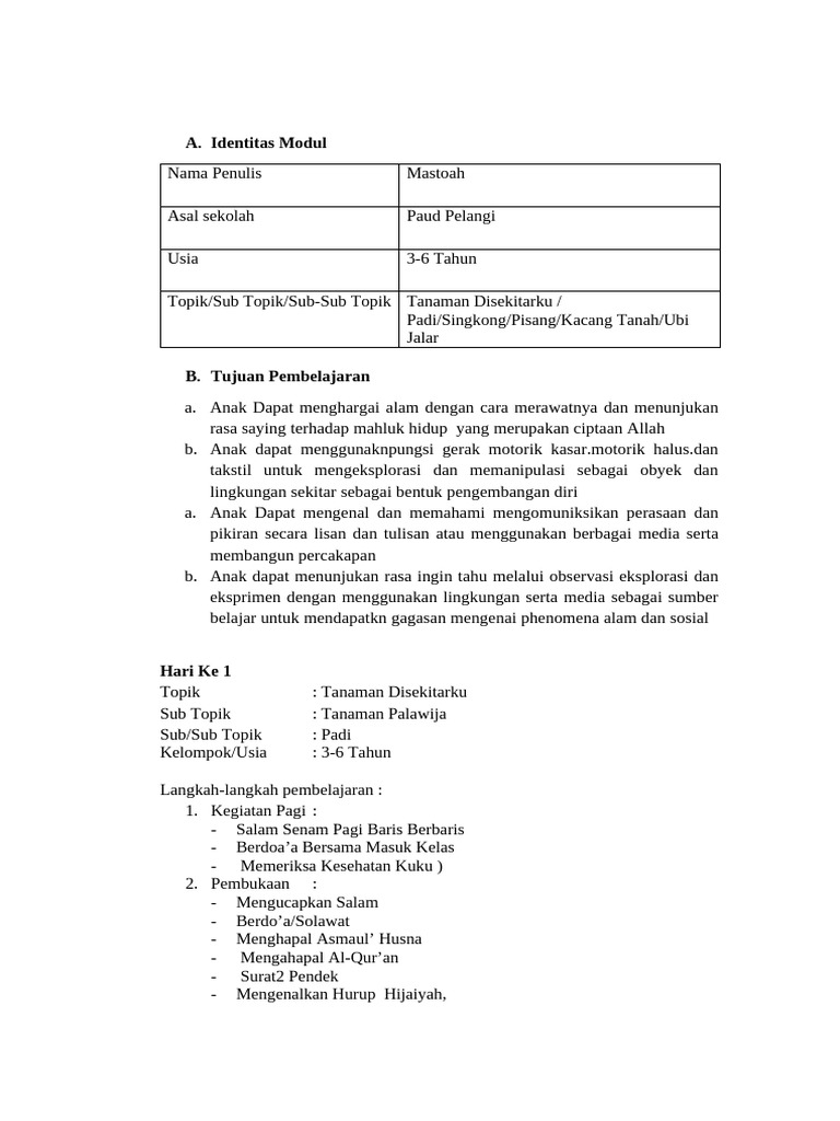 RPP Paud Pelangi | PDF