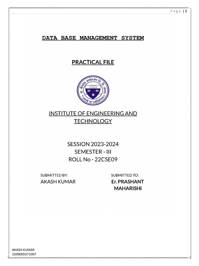 Database Management Practical Exercises | PDF | Data Model | Databases