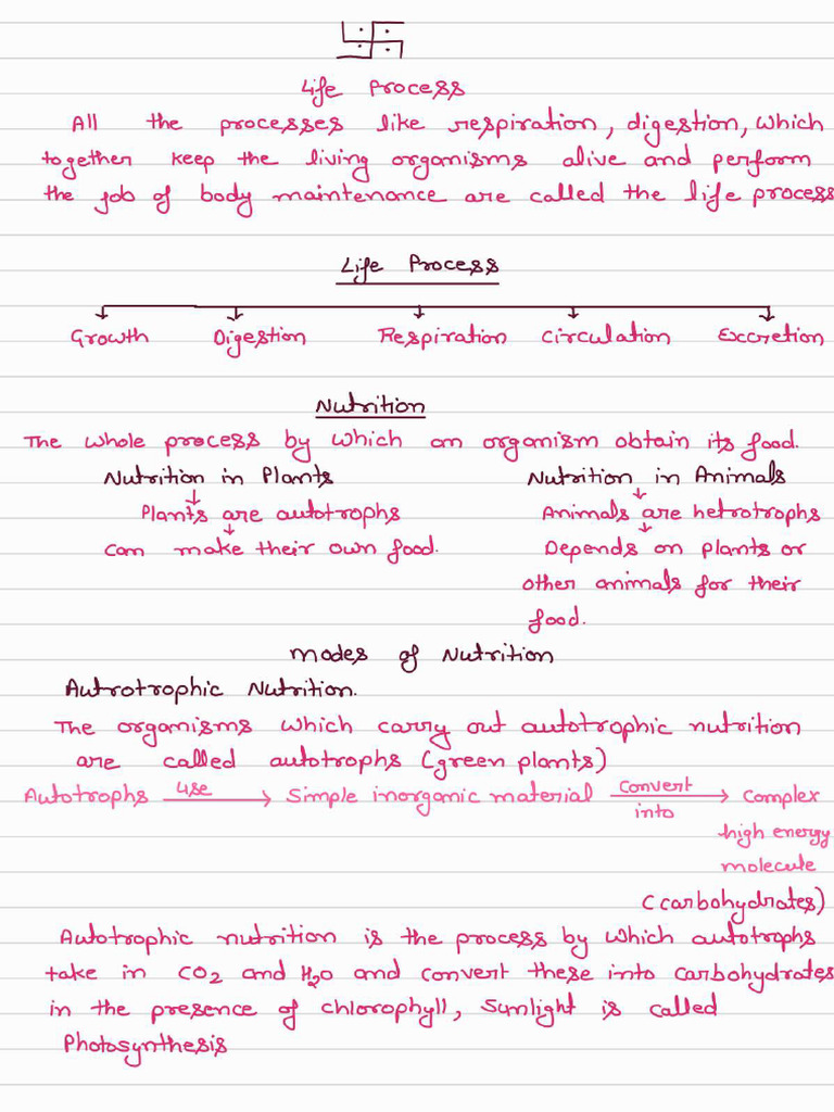 Life Process Notes Class 10 - 1 Notes Muk | PDF
