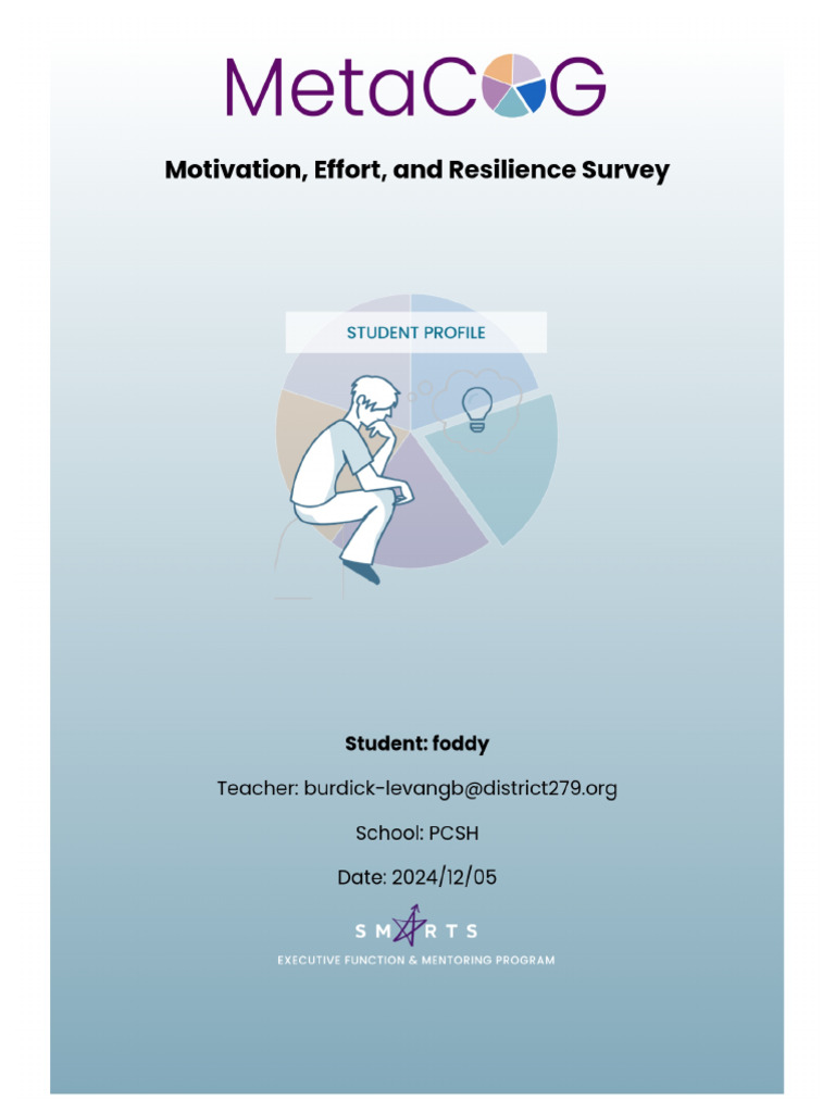 Foddy Metacog Student Profile 45237 | PDF