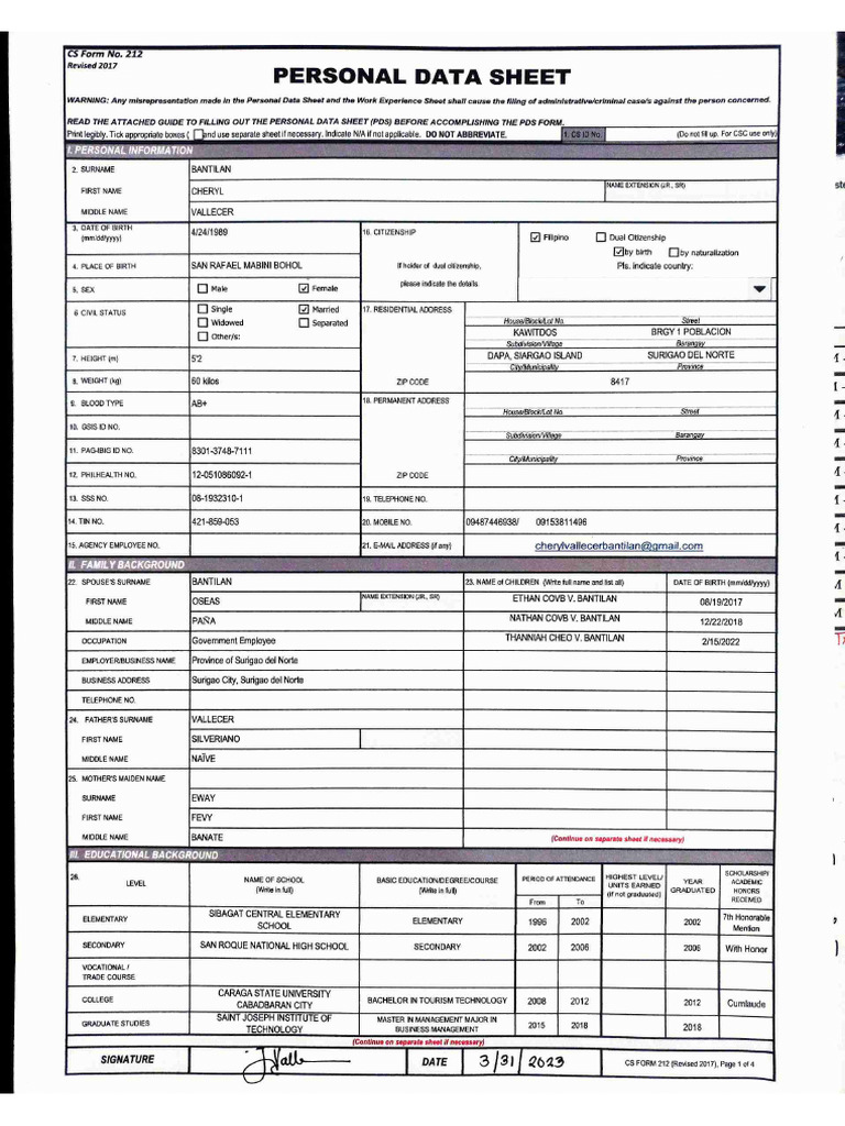 Pds Work Experience Sheet Download