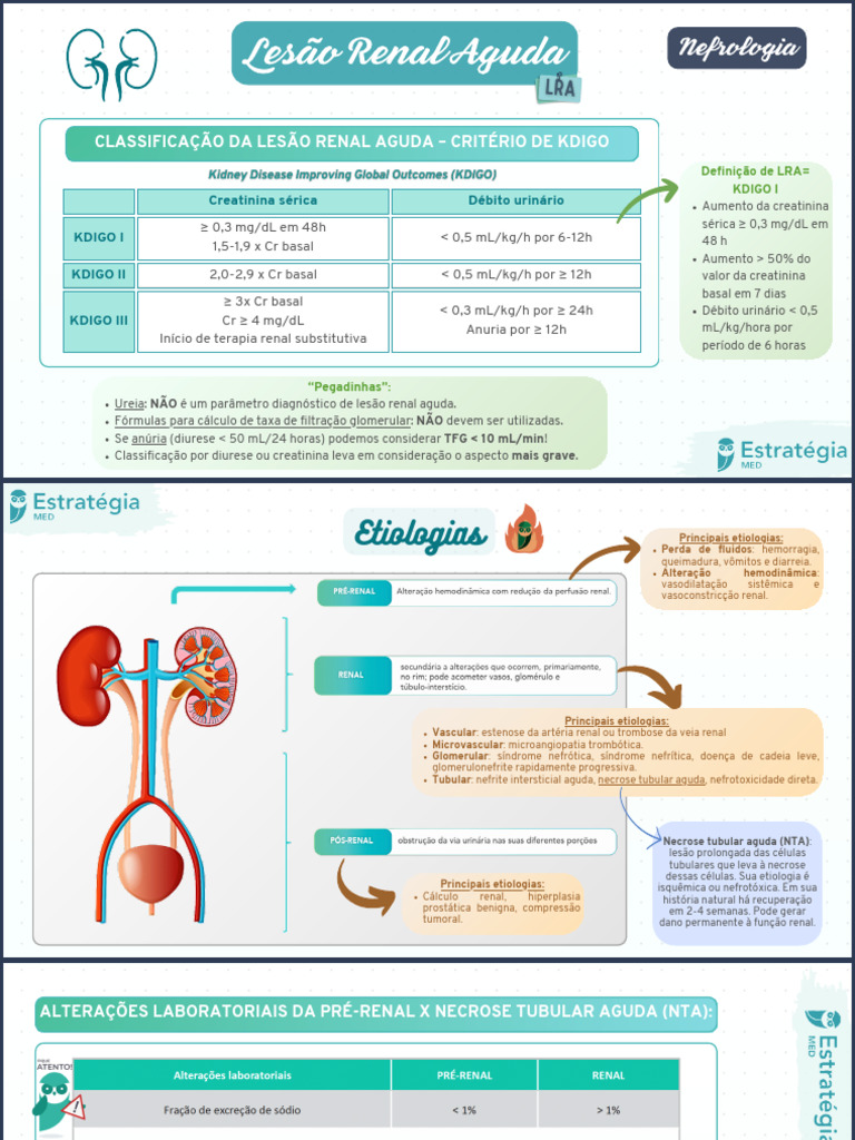 Classificação e Manejo da Lesão Renal Aguda | PDF | Creatinina ...