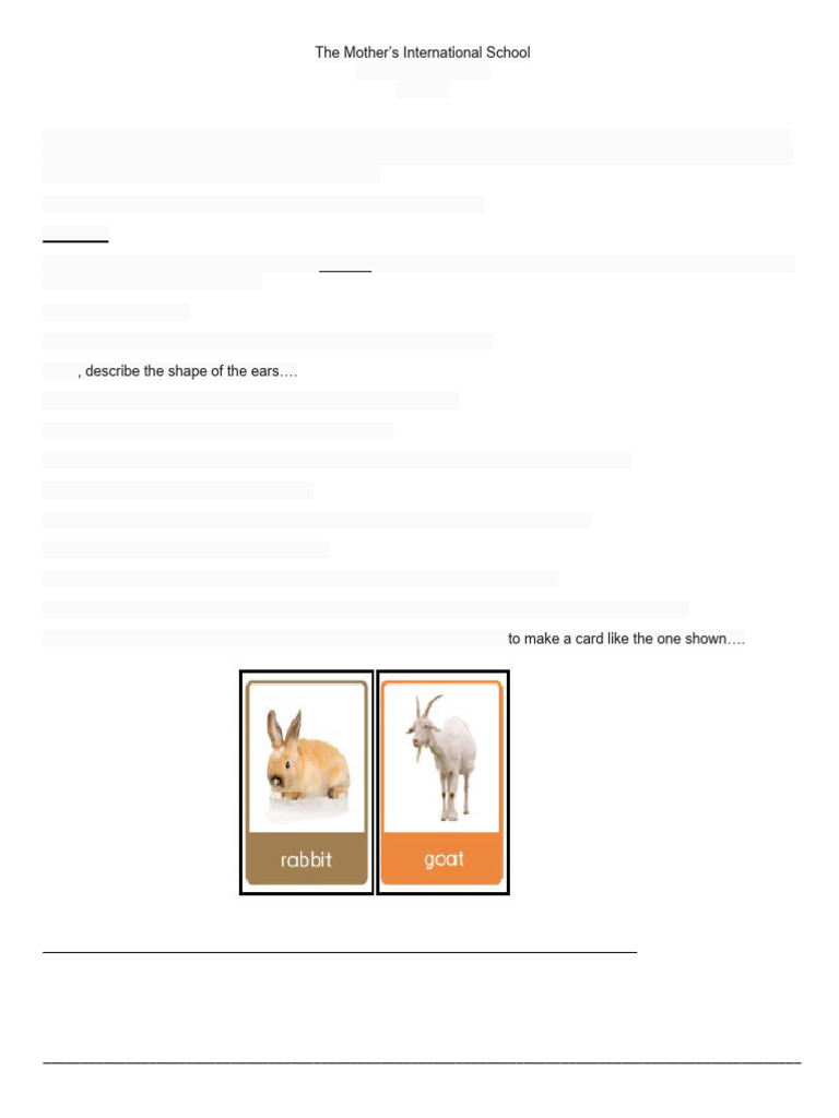 Class 4 A Project Term 2 Animal Classification | PDF | Skeleton