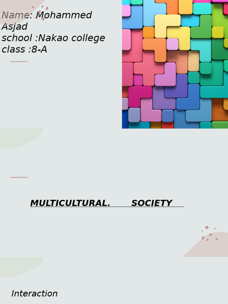 A Proposal From Asjad | PDF | Multiculturalism | Social Integration