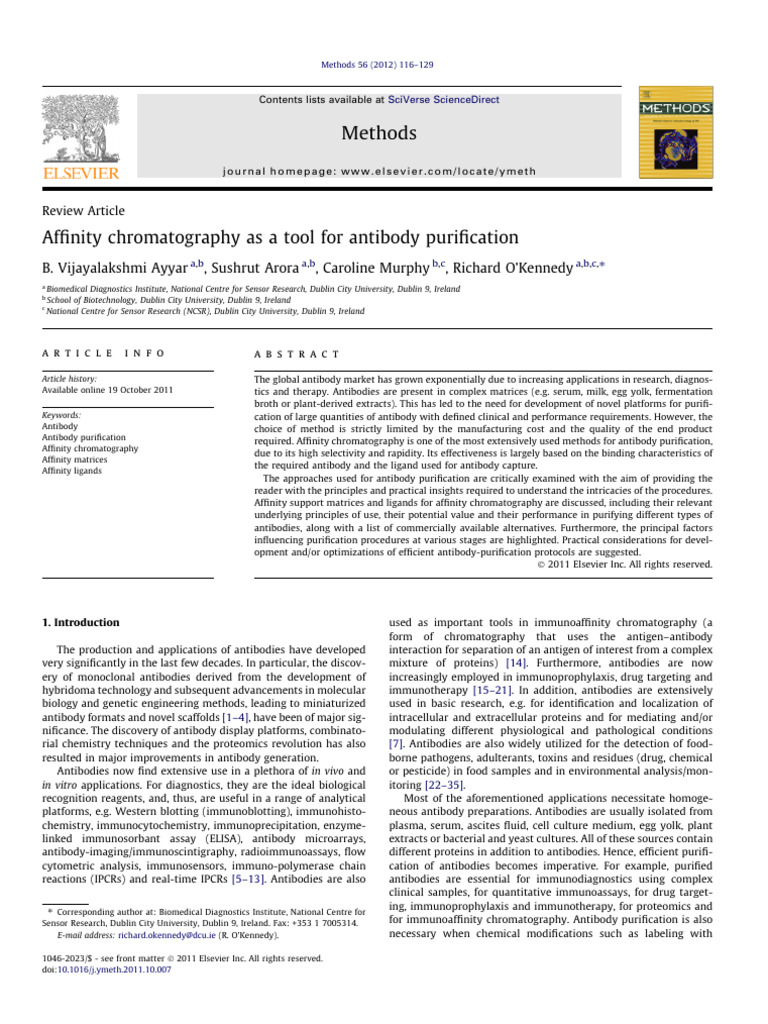 Affinity Chromatography for Antibody Purification | PDF | Antibody ...