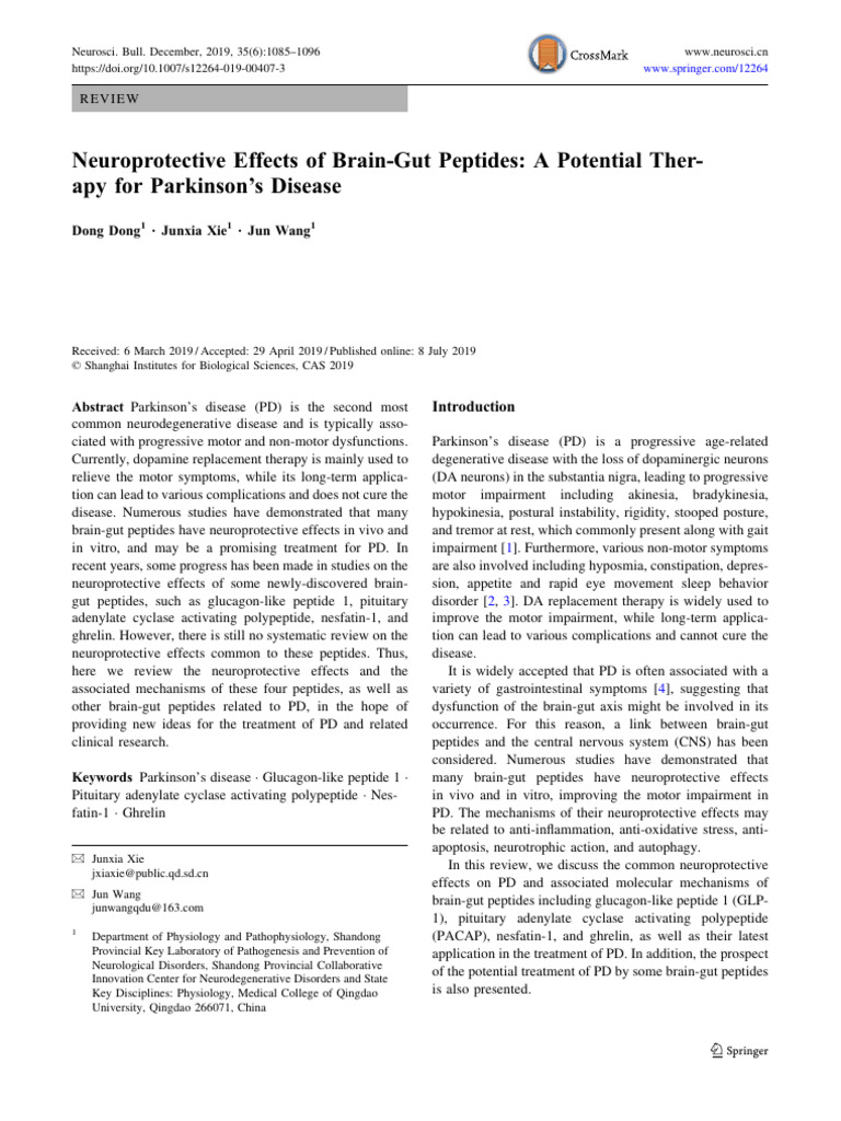 Neuro Peptides | PDF | Nf κb | Reactive Oxygen Species