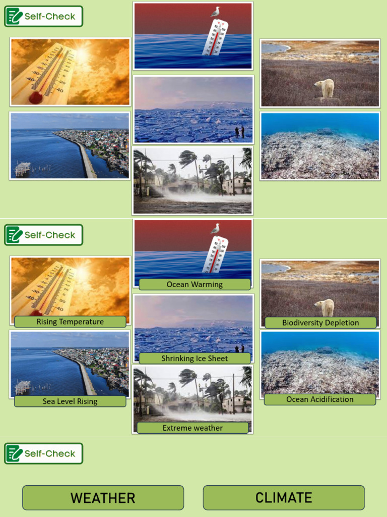 Green Technology and Climate Solutions | PDF | Algae Fuel | Climate Change
