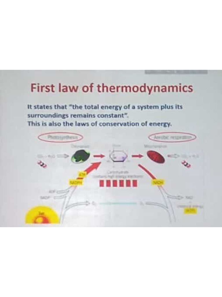 Bioenergetics 1.... Biochem | PDF
