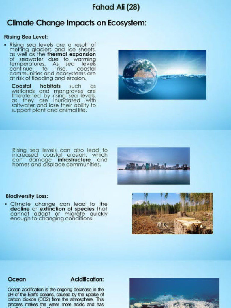 Climate Change Effects on Ecosystems | PDF | Climate Change | Sea Level ...