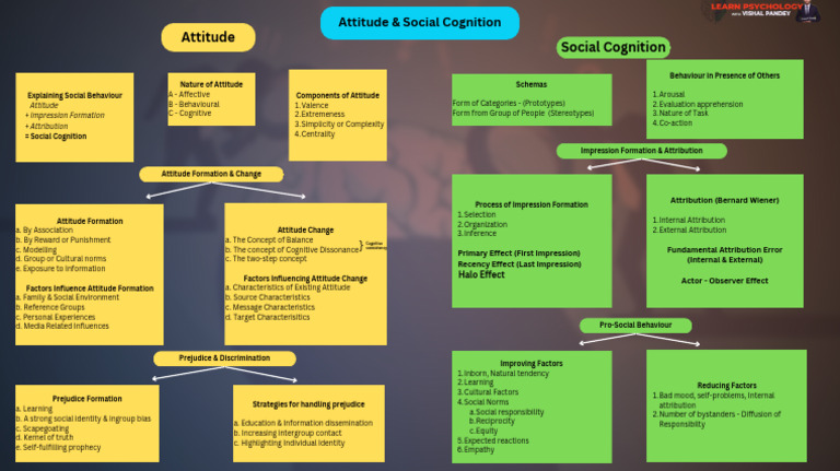 Understanding Attitudes and Social Cognition | PDF | Attitude ...
