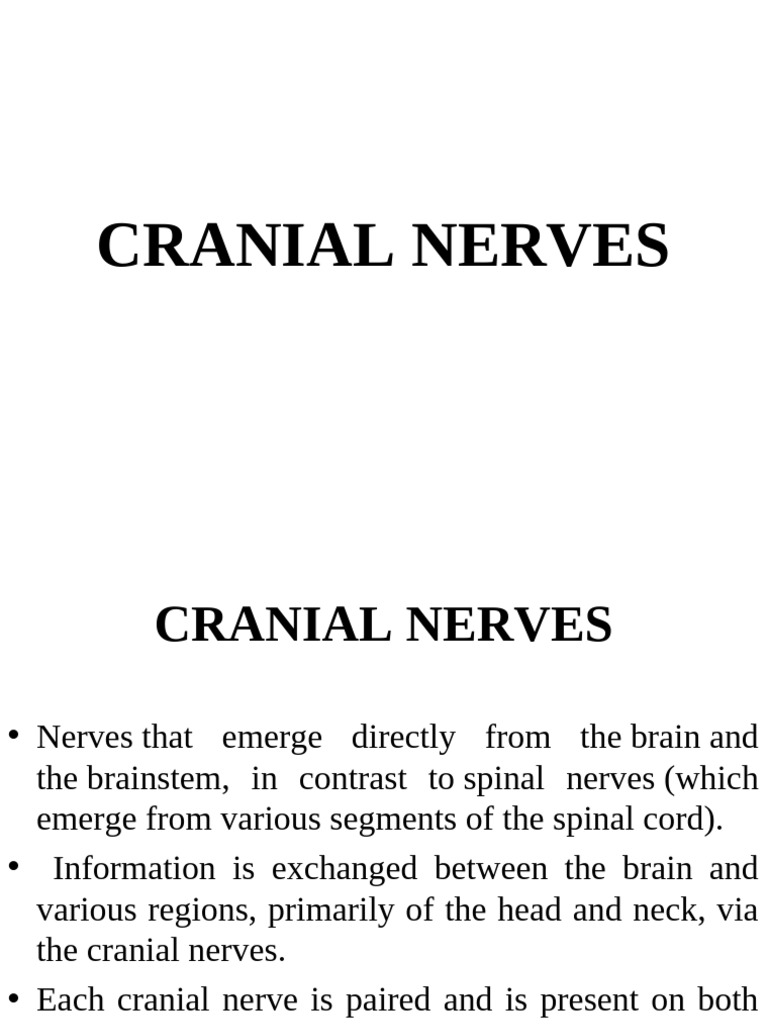 Cranial Nerves Overview & Functions | PDF | Brainstem | Human Head And Neck