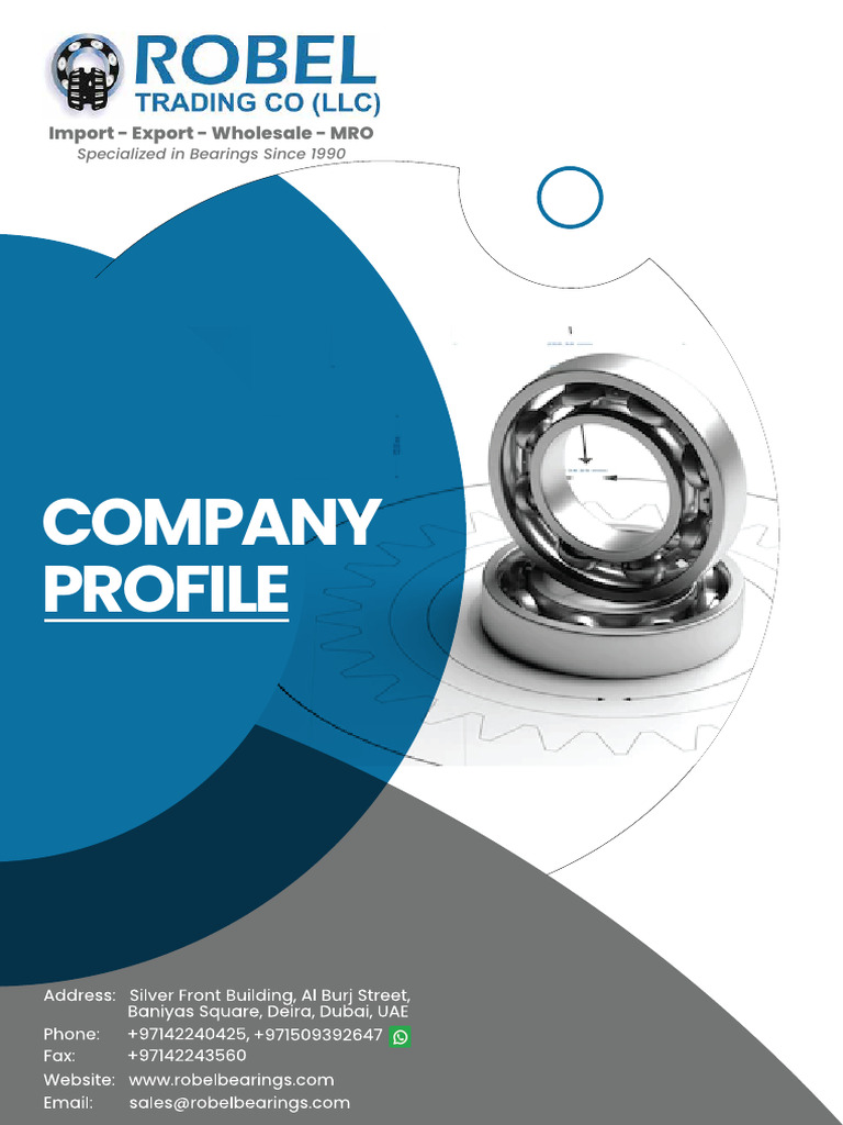 Robel Bearings: Global Supplier Overview | PDF | Bearing (Mechanical ...
