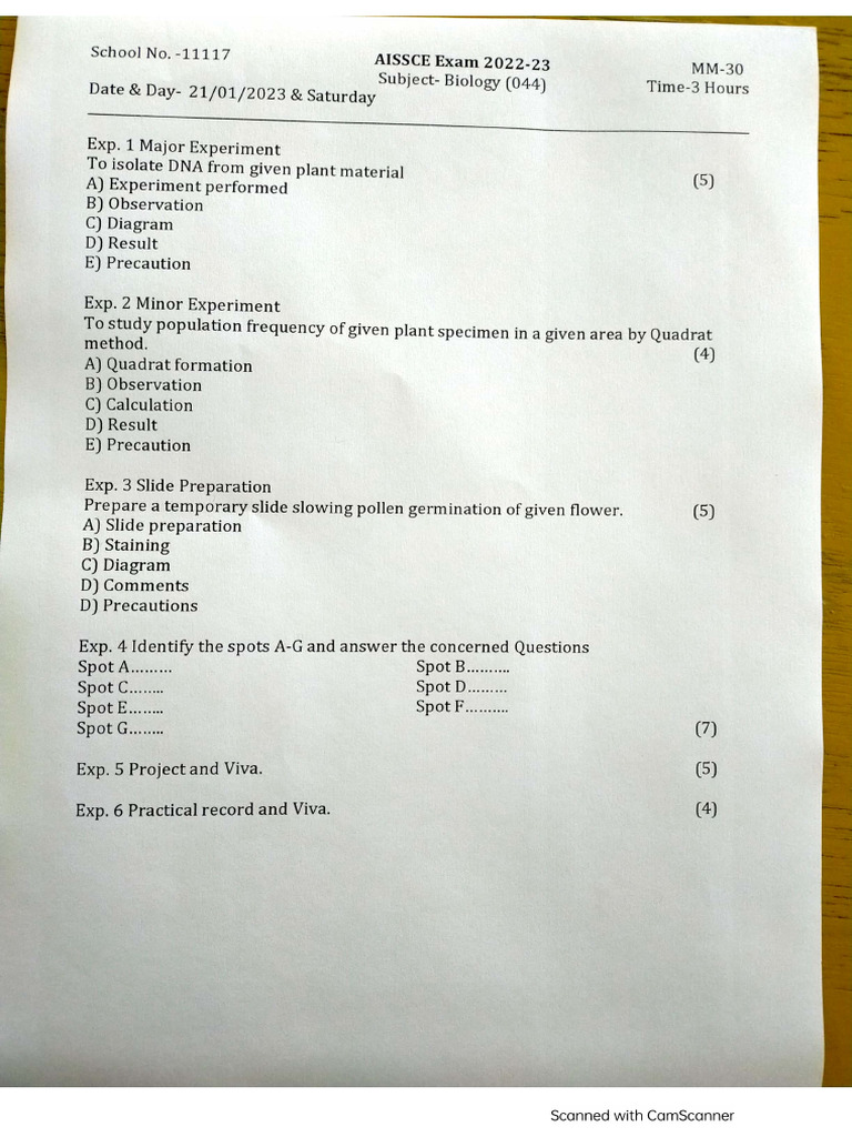 Practical Paper Cbse - 1 | PDF