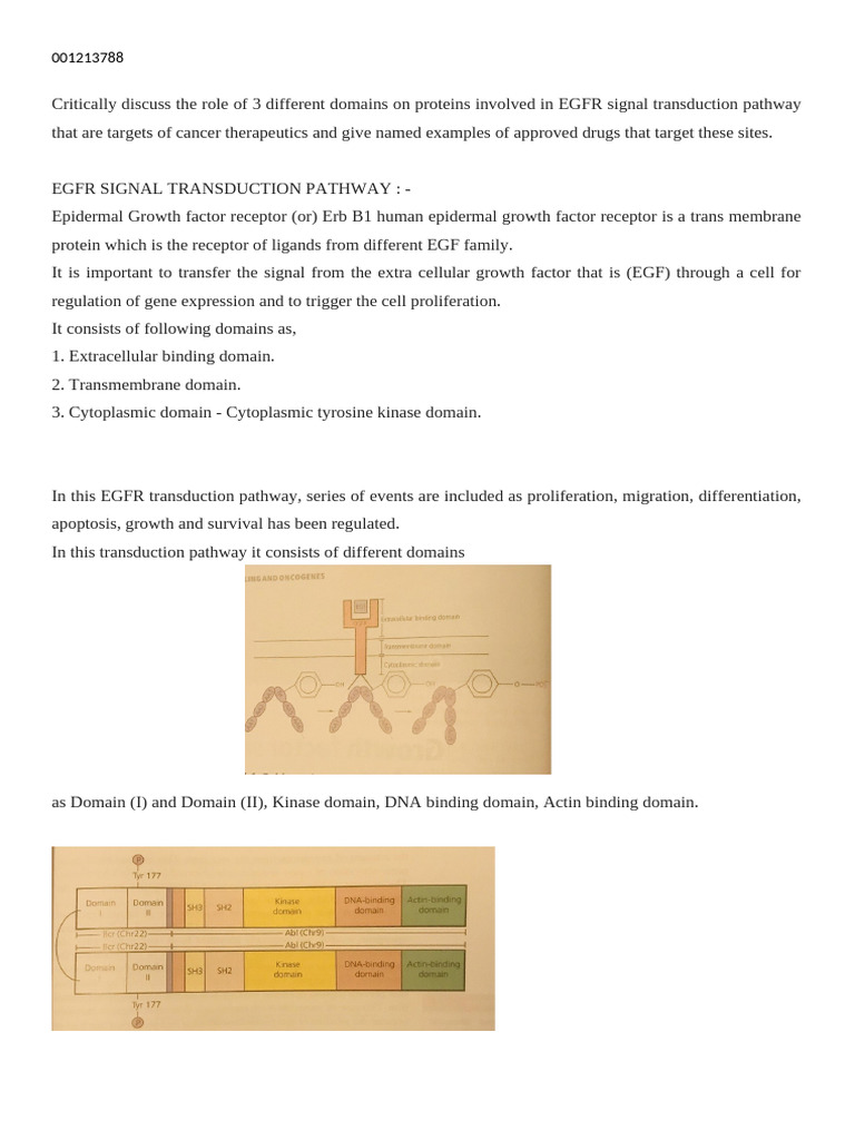 egfr | PDF | Epidermal Growth Factor Receptor | Tyrosine Kinase