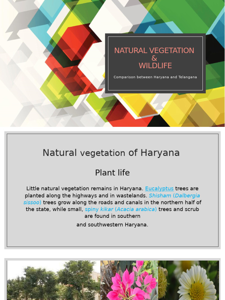 Natural Vegetation Pdf