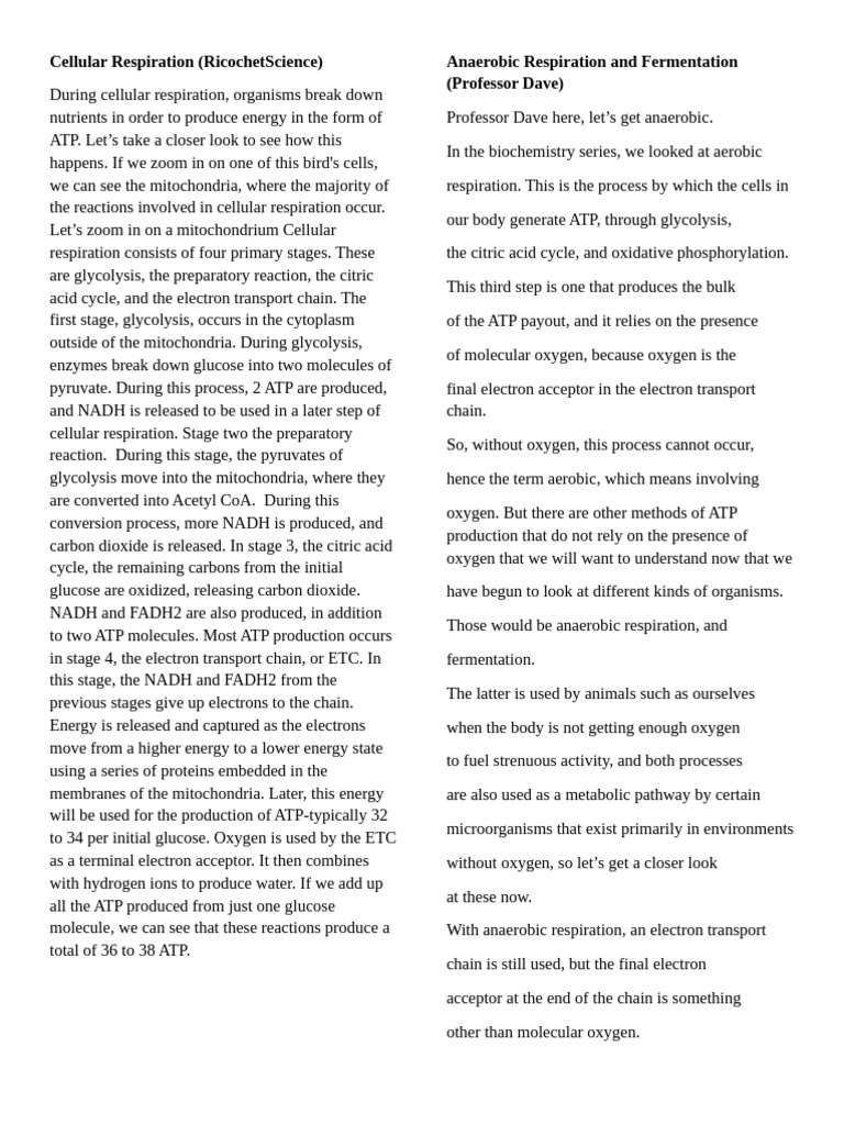 Cellular Respiration Pdf Cellular Respiration Glycolysis