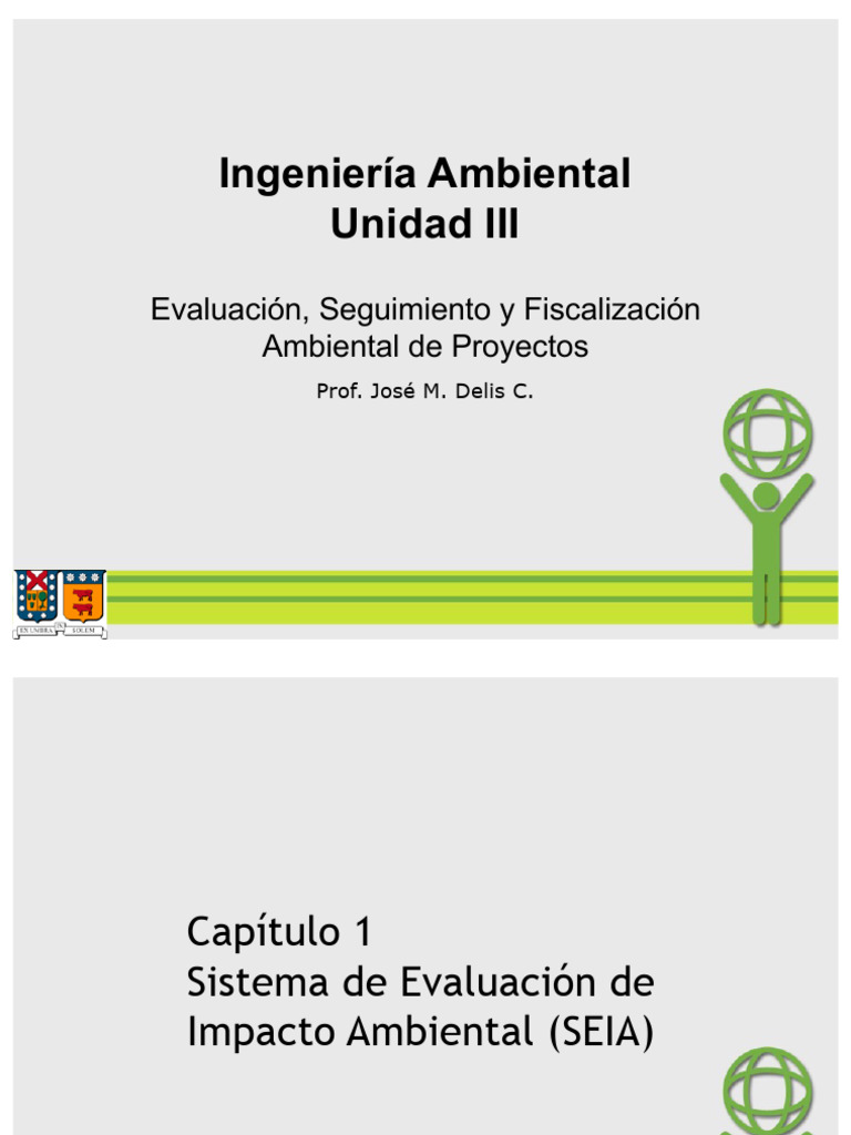 Evaluación de Impacto Ambiental en Proyectos | PDF | Evaluación de ...