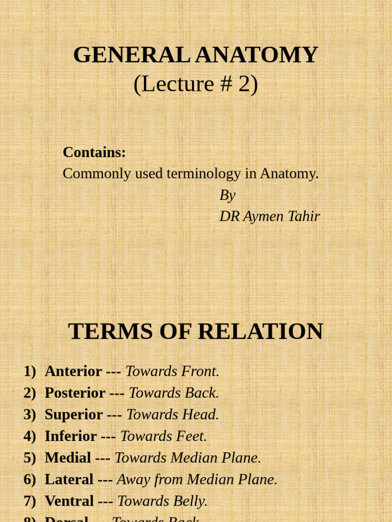 HS 101 Lecture 2 | PDF | Anatomical Terms Of Location | Human Leg