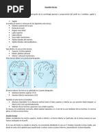 Análisis Facial en Ortodoncia y Estética | PDF | Cara | Ortodoncia