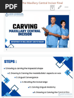 Maxillary Central Incisor Carving Guide | PDF | Tooth | Mouth