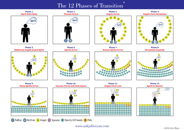 12 Phases of Transition | PDF