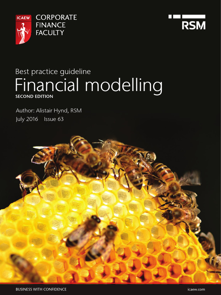 Best Practices in Financial Modelling | PDF | Financial Modeling ...