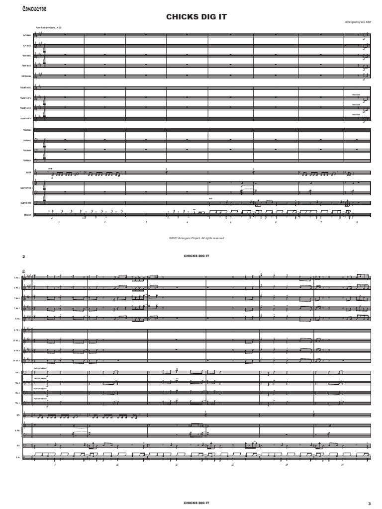 Chicks Dig It - Conductor | PDF